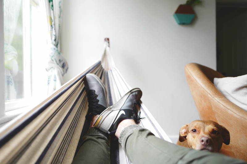 Person in a hammock next to a dog