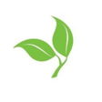 Caris Healthcare logo on InHerSight
