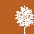 Cottonwood Residential logo on InHerSight