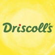 Driscoll's logo on InHerSight