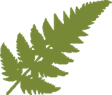 Fernbrook Family Center logo on InHerSight