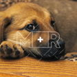 M+R logo on InHerSight