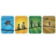 AK Child & Family logo on InHerSight